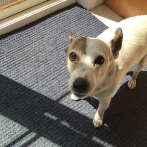 Meet your Posher, Gail